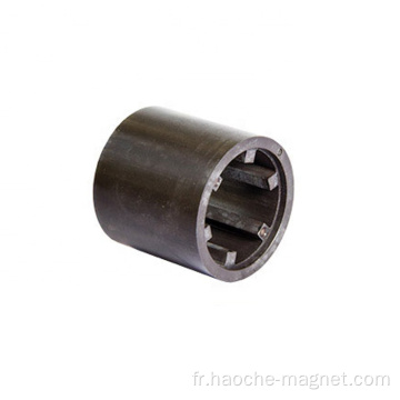 Moulage par injection permanente aimant de ferrite pour rotor de moteur